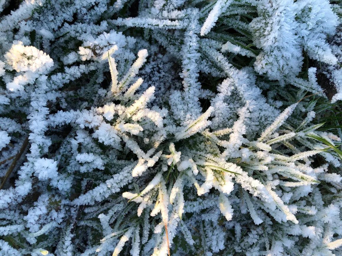 Image-5